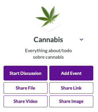 cannabis network