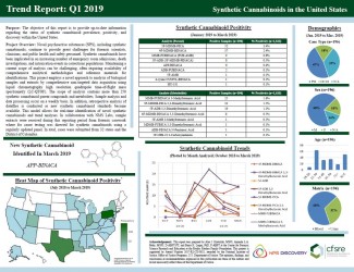 report at a glance